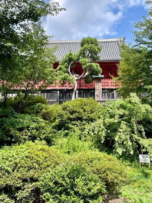 Private Tour Through the Tokyo National Museum & Ukiyo-e - The value question: Is $74 worth it for 150 minutes?
