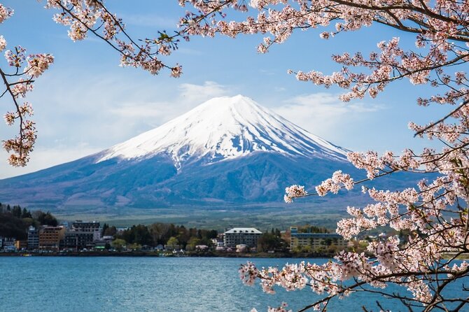Private tour to Mount Fuji and Hakone from Tokyo - Key highlights at a glance