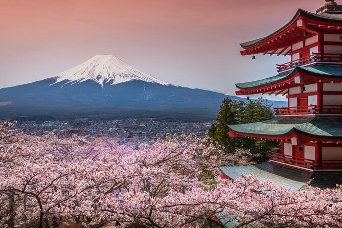 Private tour to Mount Fuji and Hakone from Tokyo - A private Tokyo-to-Fuji/Hakone plan that saves time (and stress)