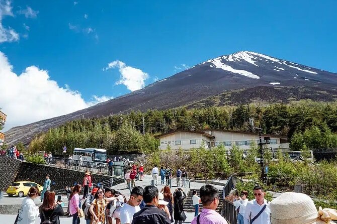Private tour to Mount Fuji and Hakone from Tokyo - Choosing your route: Fuji-first or Hakone-last (and why it matters)