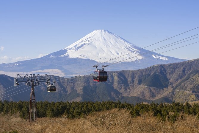 Private tour to Mount Fuji and Hakone from Tokyo - Hakone Ropeway and Owakudani: volcanic views with a bit of extra cost