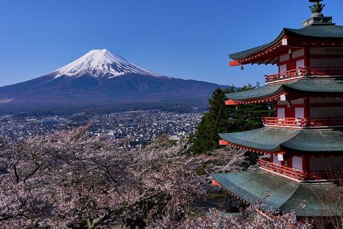 Private tour to Mount Fuji with an English driver from Tokyo - Key points at a glance