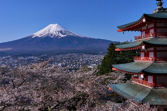 Private tour to Mount Fuji with an English driver from Tokyo - Price and value for a group of up to 6