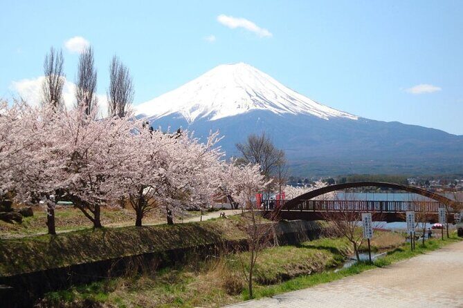 Private tour to Mount Fuji with an English driver from Tokyo - Stop 4: Yamanashi Prefecture for towns and quick culture
