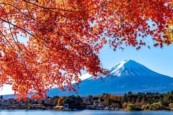 Private tour to Mount Fuji with an English driver from Tokyo - Stop 5: Chureito Pagoda with Mount Fuji framed by cherry blossoms
