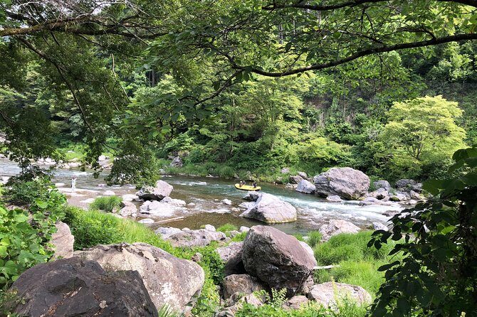 Private Tour: Tokyo's Oldest Sake Brewery and Riverside Walk - Food, Tastings, and What’s Actually Included (No Guessing Needed)