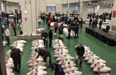Private Toyosu & Tsukiji Market Adventure with Tuna Auction - Toyosu Market and the Tuna Auction: What You’re Really Seeing