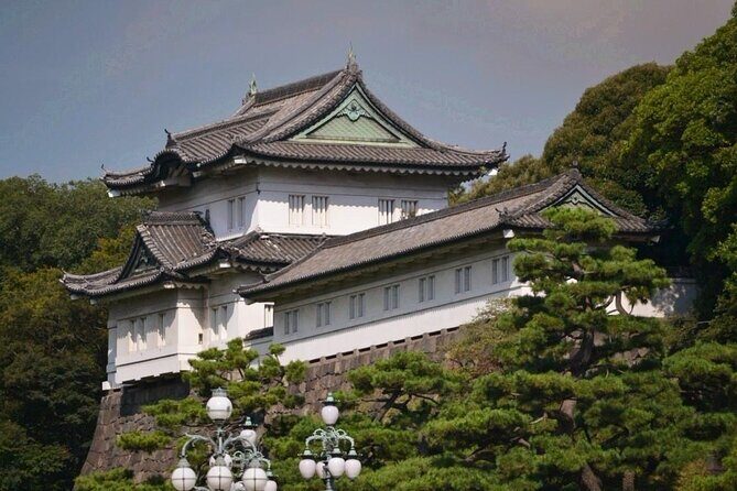 Private Transfer for Custom Day Tour in Tokyo - Price and Timing: What $208.10 Buys You (and What It Doesn’t)