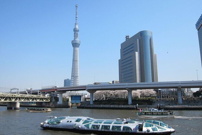Private Transfer for Custom Day Tour in Tokyo - Imperial Palace: A White-Wall Landmark Near the Rails