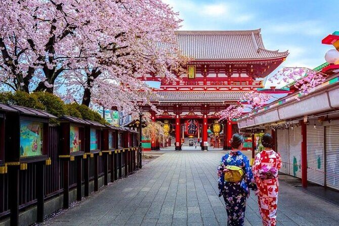 Private Transfer for Custom Day Tour in Tokyo - Sumida River Cruise Option: City Views From Water Level