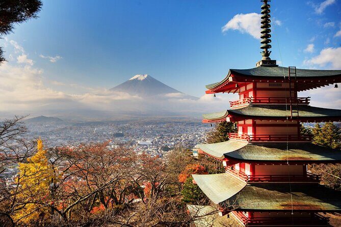 Private Transfer for Custom Day Tour in Tokyo - Hotel Pickup and Drop-Off: The Real Stress Saver