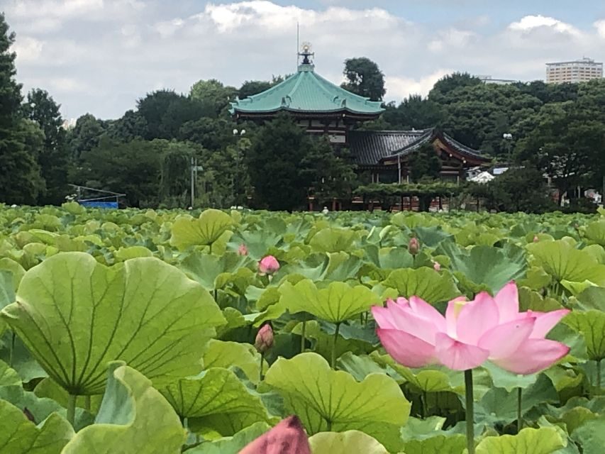 Private Ueno Park Architecture Tour - Tokyo National Museum’s four buildings from 1908 to 1999