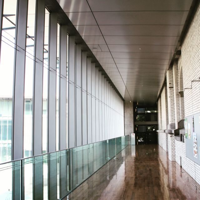 Private Ueno Park Architecture Tour - Getting the most from a 3.5-hour private pace (including night starts)