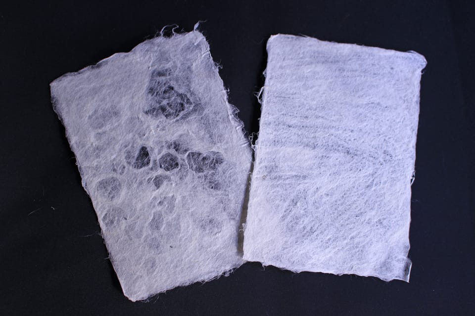 Private Workshop for Making Paper Last 1,000 years in Ueno - From Outer Bark to Fiber Pulp: Hyouhitor and Dakai
