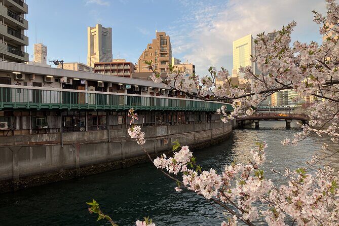Private Yokohama Noge Food & Bar Tour – Local Night Experience - A short night walk with Showa-era architecture (and an optional bar inside)