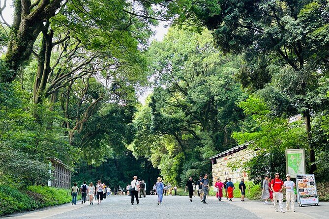 Sacred Morning Walk and Brunch Meiji Shrine - A 8:00am start that gives you Tokyo hours back