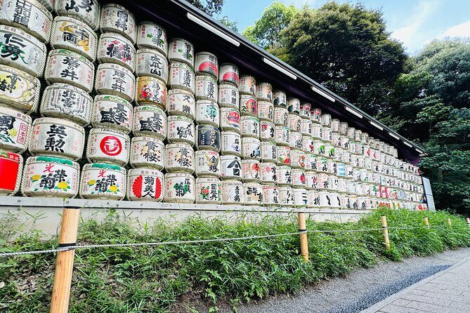 Sacred Morning Walk and Brunch Meiji Shrine - Quick watch-outs: weather, early hours, and crowd contrast