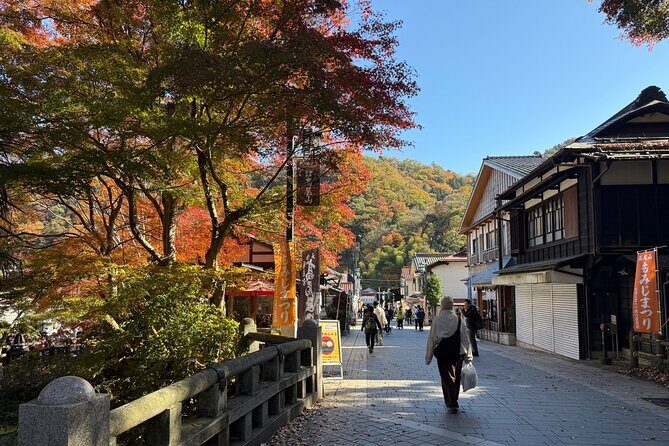 Samurai Guide Sho’s Mt. Takao Hike, Temple & Onsen from Shinjuku - Waterfall Training Path: The Mt. Takao Hike Portion