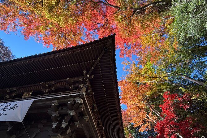 Samurai Guide Sho’s Mt. Takao Hike, Temple & Onsen from Shinjuku - Meeting at the Suica Penguin Statue: Get Oriented Fast