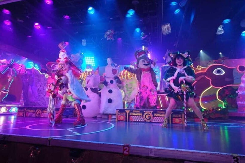 Samurai themed Entertainment show in Shinjuku - Who this show suits best (and who might not love it)
