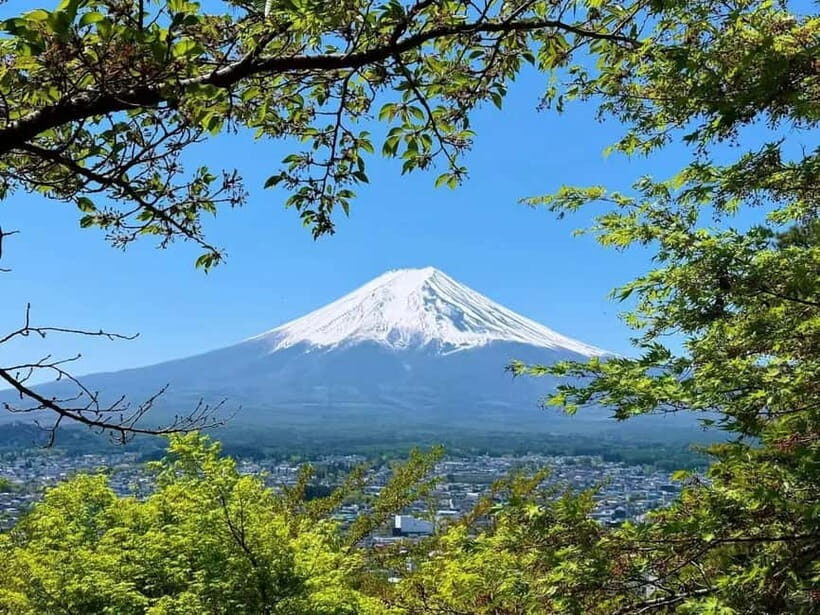 [Seasonal Limited] Mt. Fuji 5th Station &Hot Spring Day Tour - Bus Timing, Guide Style, and What You Should Expect on the Road