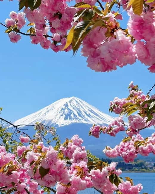 [Seasonal Limited] Mt. Fuji 5th Station &Hot Spring Day Tour - Price and Value: Is $50 a Smart Deal for Fuji?