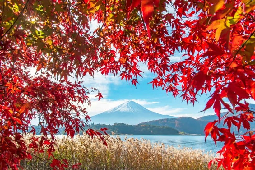Seasonal Mt. Fuji Scenic Views, Fruit Picking and Ropeway! - Seasonal Scenic Stops Around Mt. Fuji (What Changes Month to Month)