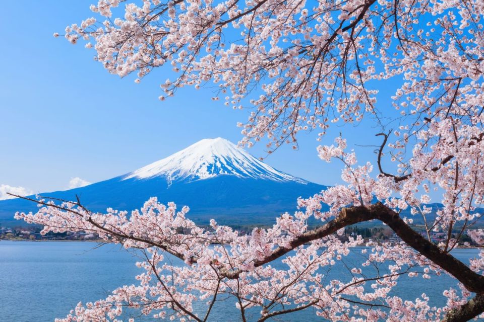 Seasonal Mt. Fuji Scenic Views, Fruit Picking and Ropeway! - Lunch Included: Houtou Noodles and Seasonal Plates