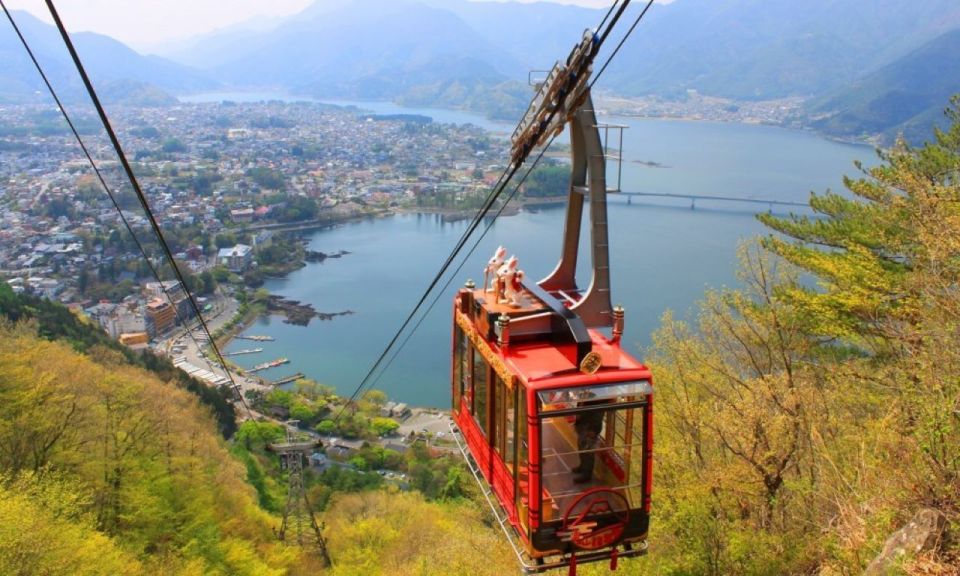 Seasonal Mt. Fuji Scenic Views, Fruit Picking and Ropeway! - Price and Value: Is $90 a Good Deal?