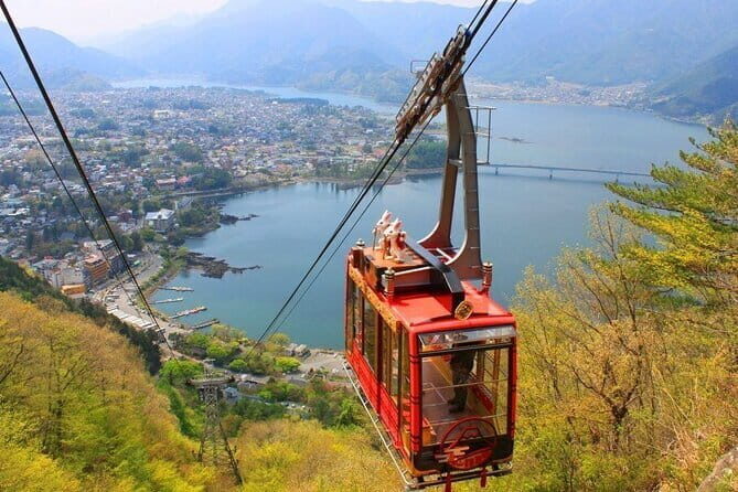 Seasonal Mt. Fuji Scenic Views, Fruit Picking and Ropeway Ride! - Key things that make this trip work