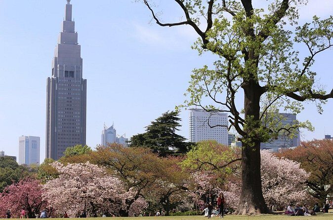 Shared Departure Transfer : Central Tokyo Hotel to Haneda Airport - Baggage Rules: The Easy Plan, Plus What Happens If You Overpack
