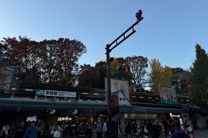 Shibuya and Harajuku Highlights Walking Tour - Key highlights you’ll feel right away