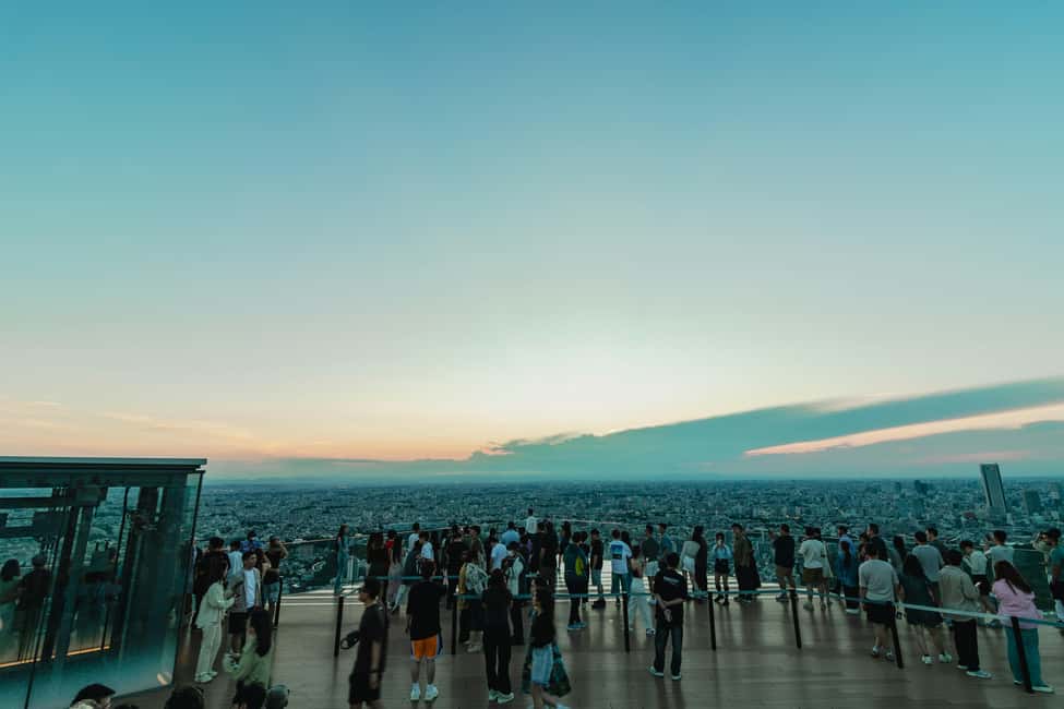 Shibuya: Crossing, Hachiko & Shibuya Sky Guided Tour - Shibuya Sky: the 360-degree views that actually help you understand Tokyo