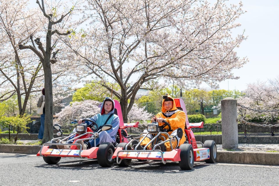 Shibuya Go Karting Tour with Funny Costume - Automatic kart controls, instructor safety, and real Tokyo speed