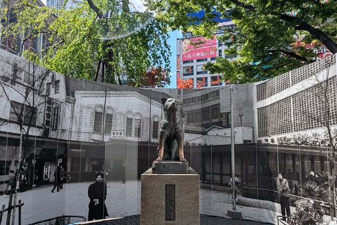 Shibuya Highlights Hachiko Scramble Meiji Jingu and Sky - Key highlights to know before you go