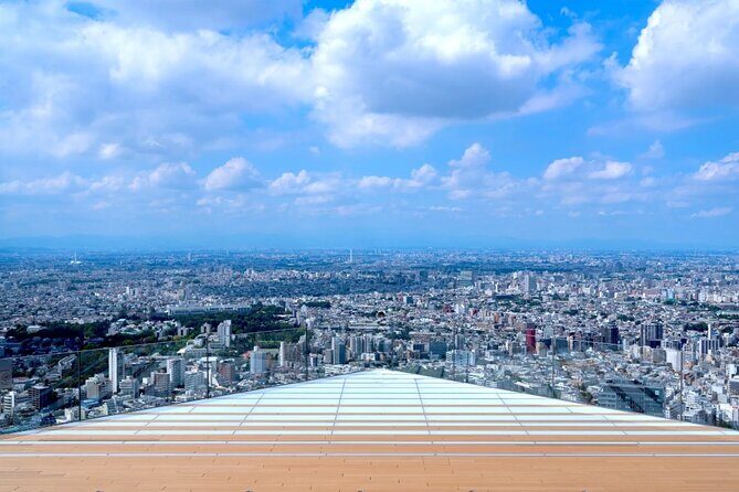 Shibuya Highlights Hachiko Scramble Meiji Jingu and Sky - Starting at Hachiko and getting grounded fast
