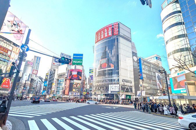 Shibuya Highlights Hachiko Scramble Meiji Jingu and Sky - Cat Street to Meiji Jingu: Harajuku style meets a green reset