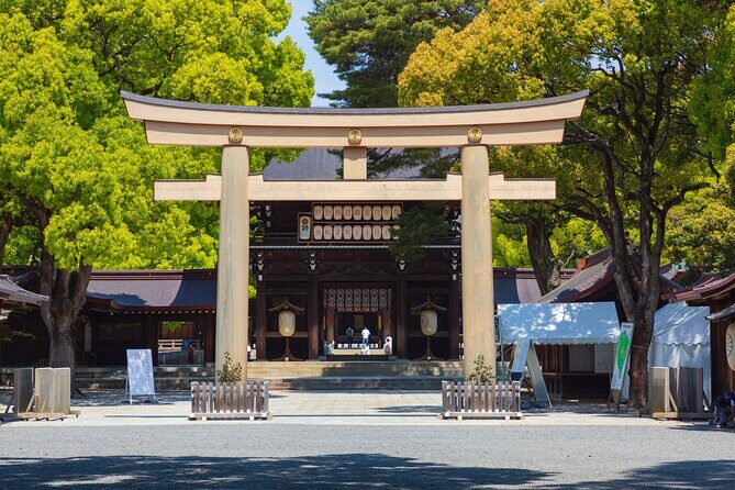 Shinto Shrine Tour: Explore Japanese Culture in Tokyo - Meiji Jingu: Forest Calm After the Harajuku Start