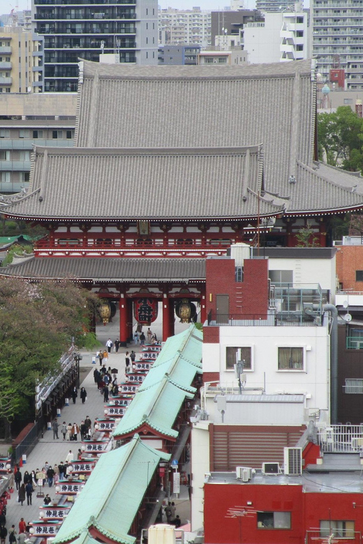 Shuttle Van Tokyo-Tour, for 4 Hours or 6 Hours+Transfer Time - Key points at a glance