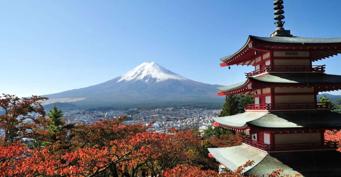 Sightseeing Day Trip to Mount Fuji and Hakone Green Number - Key Highlights Worth Your Attention
