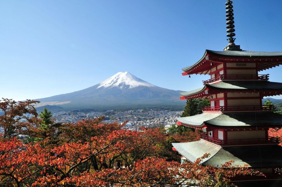 Sightseeing Day Trip to Mount Fuji and Hakone Green Number - Two Day-Trip Flavors: Fuji and Hakone Together vs Fuji Only