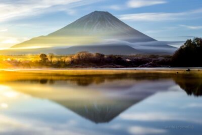 Sightseeing Day Trip to Mount Fuji and Hakone Green Number - Starting in Tokyo: Pickup That Keeps the Day from Falling Apart