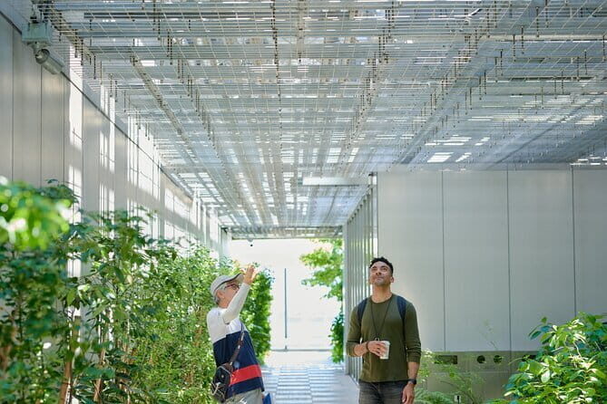 Small-Group Architecture Tour in Ginza, Tokyo - Key Things I’d Circle Before You Go