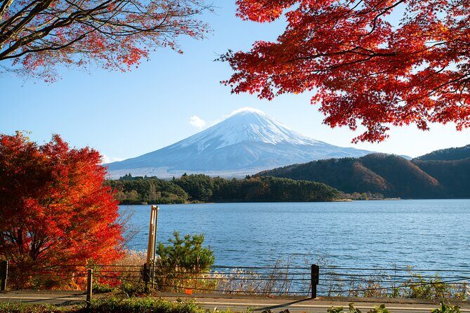 Small Group Tour Mount Fuji and Lake Kawaguchi from Tokyo - Oshino Hakkai: the spring ponds and thatched houses side of Fuji