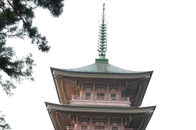 Snow Monkey Park & Zenkoji Temple Nagano Pvt. Full Day Tour. - Who should book this Nagano private day trip (and who should skip it)