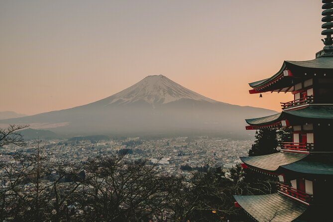 Snow monkeys from Tokyo: Full-Day Private trip with Local Guide - Why the Tokyo-to-Nagano schedule works for snow monkeys