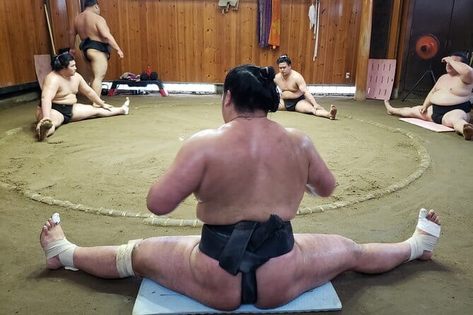 Sumo Practice Viewing Guided Tour and Photo with Sumo Wrestlers - Key points worth knowing before you go