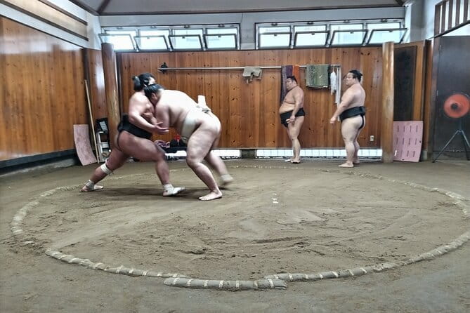 Sumo Practice Viewing Guided Tour and Photo with Sumo Wrestlers - Seeing morning practice with an English guide and audio silence