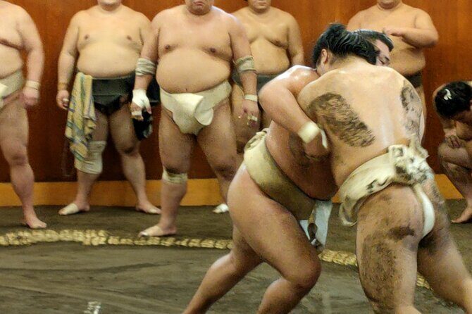 Sumo Training Watching Experience in Tokyo - Key highlights