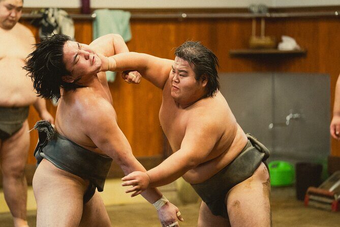 Sumo Wrestlers Morning Practice Tour – Tokyo Sumida District - Key things you’ll notice